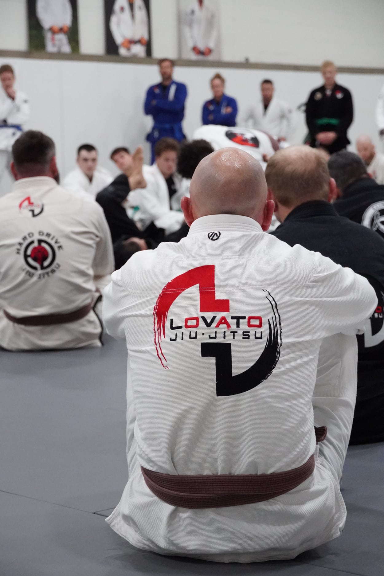 Lovato Jiu-Jitsu Lovato's School of BJJ & MMA Student Login image