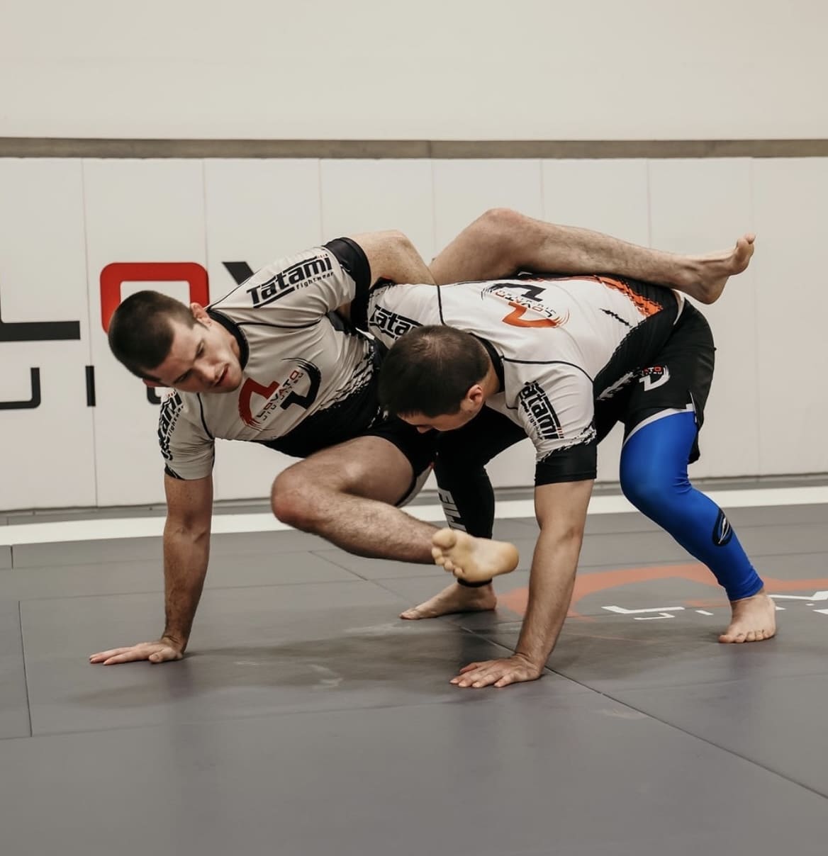 Lovato Jiu-Jitsu Lovato Jiu-Jitsu Northside Student Login image